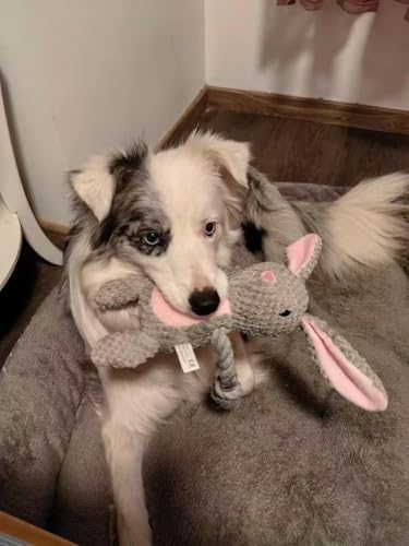Bunny Dog Toy with Rope Arms – Squeaky Plush Rabbit for Small & Medium Dogs, Soft Chew & Tug Toy for Interactive Play, Easter Puppy Toy Gift - color: Grey