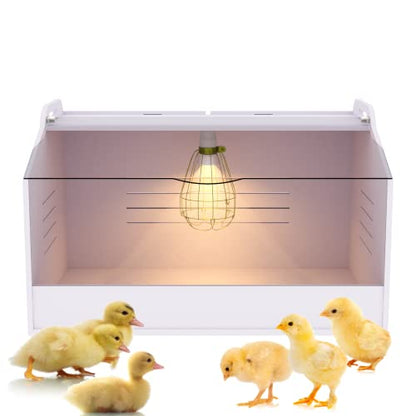 Chick Brooder Box with Heat Lamp - Suitable for Chicks, Ducks, Parrots & Lizards (19" X 12" X 12") - size: 19" X 12" X 12"