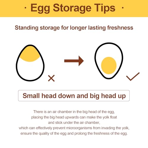Egg Holder for Refrigerator,60 Eggs Clear Drawer Organizer,2 Layer Stackable Egg Holder Egg Trays,Egg Storage Container with Time Scale for Fridge Countertop Cabinet - size: 60 eggs