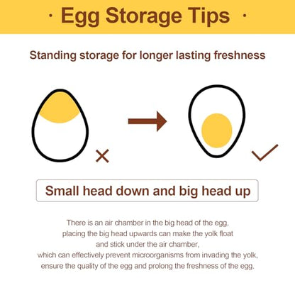 Egg Holder for Refrigerator,60 Eggs Clear Drawer Organizer,2 Layer Stackable Egg Holder Egg Trays,Egg Storage Container with Time Scale for Fridge Countertop Cabinet - size: 60 eggs