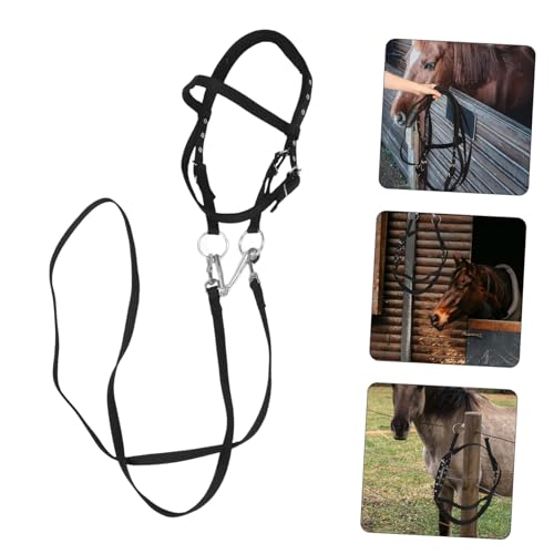 Adjustable Rope Halter Comfortable Nylon Material Matching Rope for Equestrian Training Travel and Everyday Use
