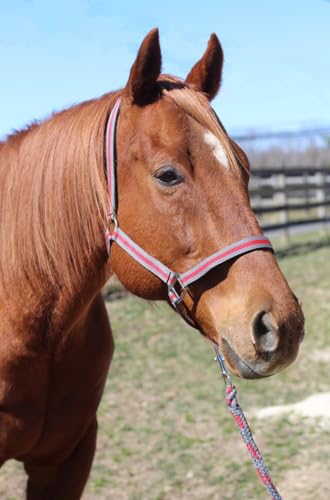 TuffRider Nylon Breakaway Halter & Lead Rope Set | Adjustable Halter for Horses with Lead Rope | Multiple Sizes and Colors - Grey/Red - Cob - color: Grey/Red, size: Cob