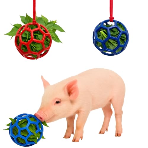2Pcs Pig Enrichment Toys, Treat Ball Toy for Mini Pigs and Farm, Hanging Chew Ball Enrichment Toy with Rope for Pigs to Play with