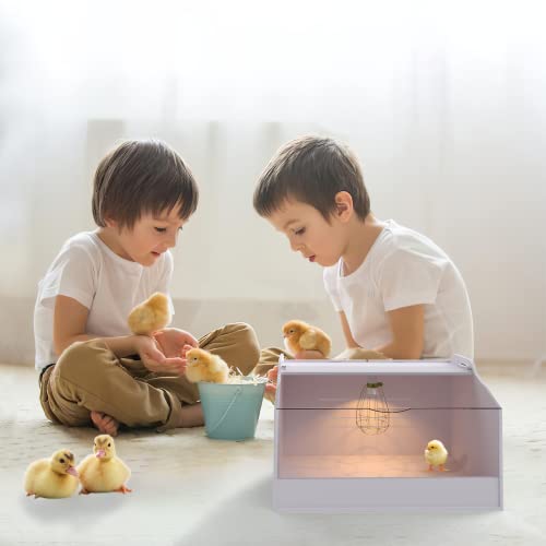 Chick Brooder Box with Heat Lamp - Suitable for Chicks, Ducks, Parrots & Lizards (19" X 12" X 12") - size: 19" X 12" X 12"