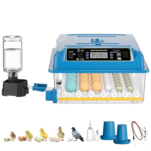 CoInceptus 36 Eggs Incubators for Hatching Eggs,Egg Incubator with 4 Auto Incubate Mode, Chicken Incubator with Humidity Display Auto Water Filling,Quail Incubator with Automatic Egg Turning(Blue) - color: Blue, size: 36 Egg