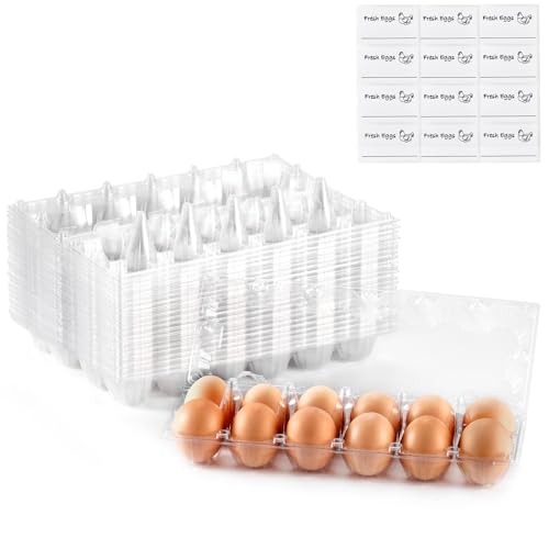 60PCS Egg Cartons 12 Count, 1 Dozen Clear Blank Egg Cartons Cheap Bulk for Large Eggs, Blank Chicken Egg Tray Holders for Family, Chicken Farm, Business Market Display - size: 60Pack-2x6 Grids