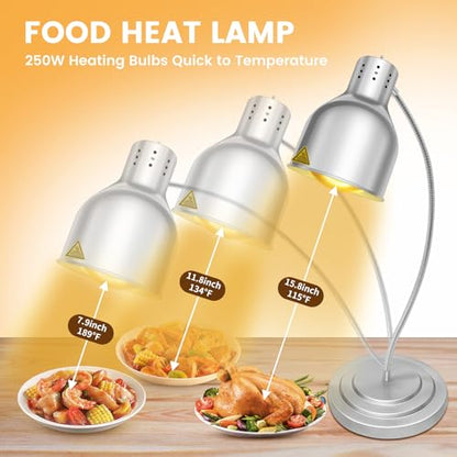 Food Heat Lamp, Commercial Food Warmer Lamp Includes 250W Infrared Bulb, 110V Stainless Steel Heat Lamps for Food Warming in Restaurant, Buffet, Catering, Home (Silver, 2 Bulbs)