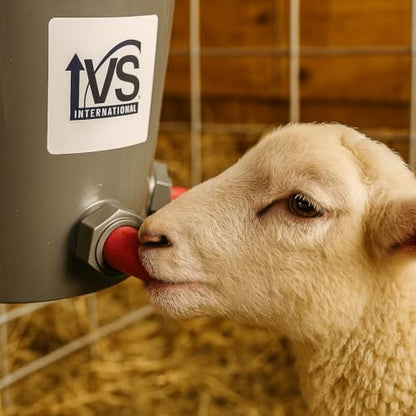 Lamb Feeder Bucket with 3 Teats and Valves – Metal Handle - Milk Feeding | Multi-Lamb Nursing Bucket, Livestock Feeding Pail for Lamb Rearing – Easy to Use, Clean & Maintain