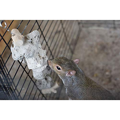 Exotic Nutrition Pumice Chew Dangle - Natural Healthy Hanging Cage Accessory Toy - for Squirrels, Degus, Chinchillas, Prairie Dogs, Birds, Rats, Hamsters, Guinea Pigs & Other Small Pets