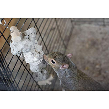 Exotic Nutrition Pumice Chew Dangle - Natural Healthy Hanging Cage Accessory Toy - for Squirrels, Degus, Chinchillas, Prairie Dogs, Birds, Rats, Hamsters, Guinea Pigs & Other Small Pets