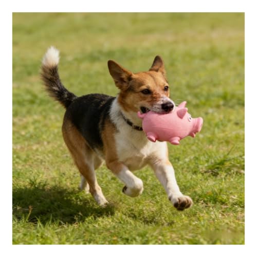 Squeaky Latex Round Pig Dog Toy - Durable Chew-Resistant Interactive Toy for Stress Relief and Training(Pink) - color: Pink
