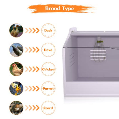 Brooder Box for Chicks ，Chick Brooder Heat up to 25 Chicks with Heat Lamp Set Brooder Box，Suitable for Chicks/Duck/Parrot/Lizard （23" X 16" X 16"） - size: 23" X 16" X 16"