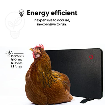 Econohome Safe Chicken Coop Heater, Safer Than Brooder Lamps, Gently Warm, 150 Watts, ETL Compliant for Safety - Also for Pets and Under Desk