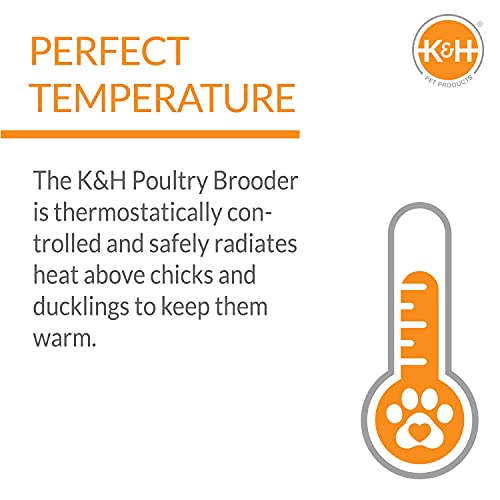 K&H Pet Products Chicken Brooder Heater for Chicks Ducklings, Adjustable Heating Plate for Brooder Boxes, Warms up to 30 Chicks, Chicken Coop Poultry Heating with Safety Light, Large 40 Watts - size: Large 20 X 11.5 X 8 Inches