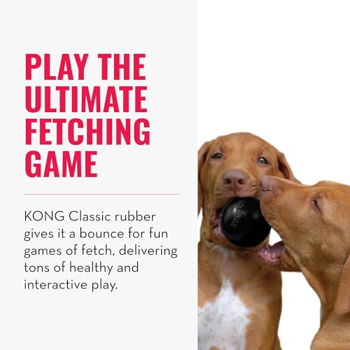 KONG Extreme Ball with Hole - Fetch Toy - Durable Dog Toy for Training, Interactive Playtime & More - Natural KONG Extreme Rubber Ball - Black - For Small Dogs - size: Small (Pack of 1)