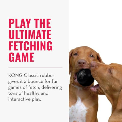 KONG Extreme Ball with Hole - Fetch Toy - Durable Dog Toy for Training, Interactive Playtime & More - Natural KONG Extreme Rubber Ball - Black - For Small Dogs - size: Small (Pack of 1)