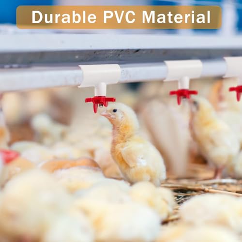 10 Pieces Chicken Waterer PVC Tee Fittings, Automatic Poultry Waterers PVC Fittings for 1/8" FTP Threads, Chicken Water Drinker and Feeder Cups for Poultry Nipples Chicken - size: 10