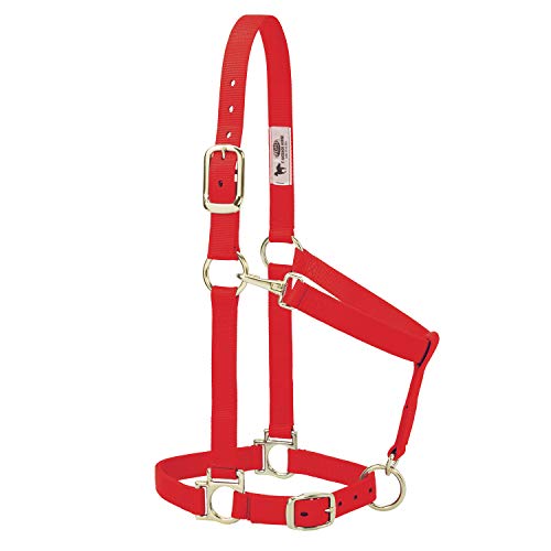 Weaver Leather Basic Adjustable Nylon Halter, Red, 1" Small Horse - color: Red, size: 1" Small Horse