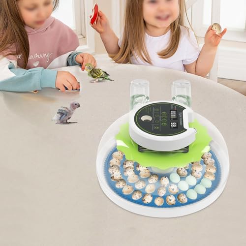 Bird Egg Incubator 60 Eggs, Poultry Quail Incubator, Automatic Temperature Control with Digital LED Display, Small Quail Brooder, for Parrot, Canary, Small Poultry & Bird Hatching - size: 60 Bird Eggs