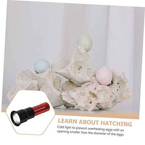 High Lumens Egg Lamp Tester Incubator Candling Lamp Chicken Eggs Candler Poultry Incubation Equipment