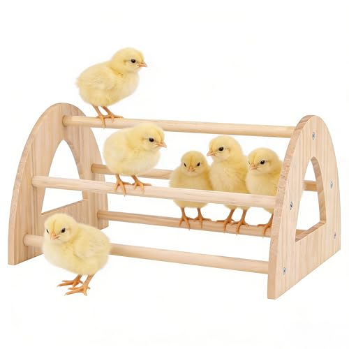 Large Wooden Chicken Perch, Chick Roosting Perch Wood Stand for Brooder, Chicken Toys for Coop and Brooder Chick Roosting Bar, Training Perch Toys for Large Bird - color: Chick Perch