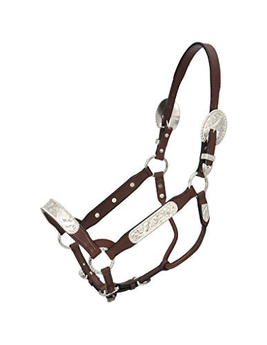 Royal King Congress Show Halter