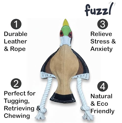 Fuzzl Eco Leather Pip Pheasant Toy Natural and Tough Dog Toys - Long Lasting Chew Toys for Aggressive Chewers - Strong Dog Toy for Dogs and Puppy - style: Pheasant