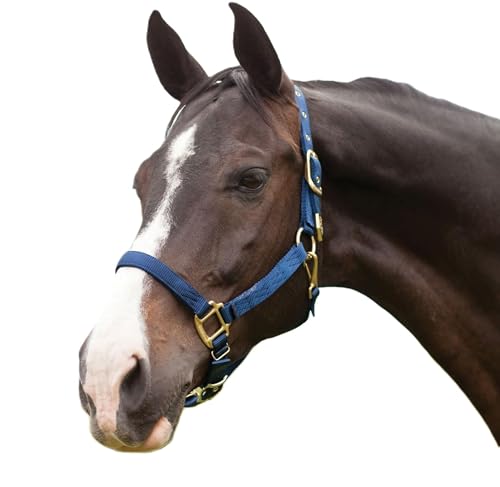 Hamilton Deluxe Horse Halter, 1" Triple Ply Nylon, Adjustable Chin Strap, Easy On/Off Throat Snap, Large Horse or 2 Year Old Draft, 1100-1600 lbs, Navy Blue - color: Navy Blue, size: Large, 1100-1600lbs