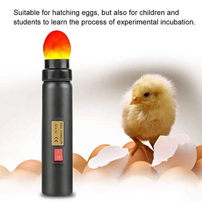 LED Egg Hatching Test Light, High LED Chicken Egg Candler Mini Egg Tester Pen for Science Experiment