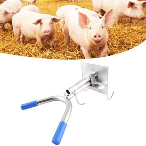 Gavigain Piglet Castration Rack Dual Hook Wall Mounted Stainless Steel Pig Castration Fixed Holder for Livestock Farm