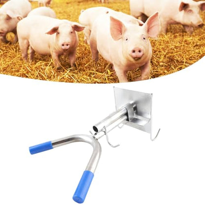 Gavigain Piglet Castration Rack Dual Hook Wall Mounted Stainless Steel Pig Castration Fixed Holder for Livestock Farm