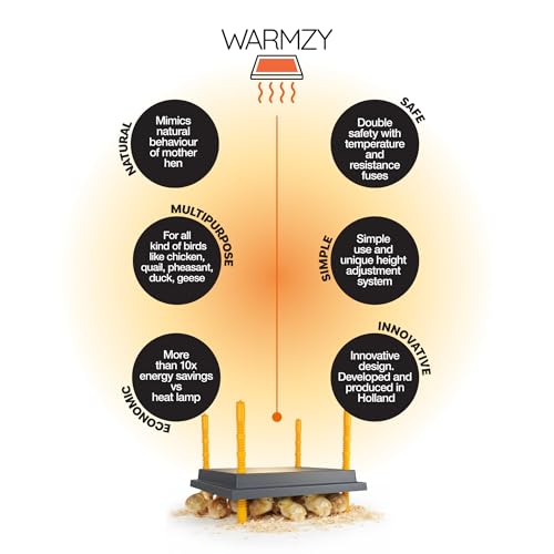 Hatching Time Warmzy 10"x12" Chick Heating Plate – Safe 20W Chicken Coop Heater for 20–25 Chicks with Adjustable Legs | Gentle Low-Heat Brooder Plate for Chicks, Durable Fire-Resistant Chicken Heater - size: 10'" x 12" for 20-25 Chicks