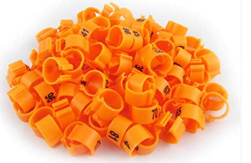 100pcs/lot Color Numbered Birds Duck Chicken Leg Bands 12mm Chicken Rings - color: Orange