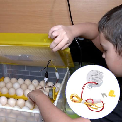 Joyzan Egg Turner Motor, AC Chicken Rotator Incubator Automatic Turntable Hatching Tool Small Guide Accessory Connector CW CCW Dual Working Modes for Incubating Electric Ducks Goose Birds Tray Quail