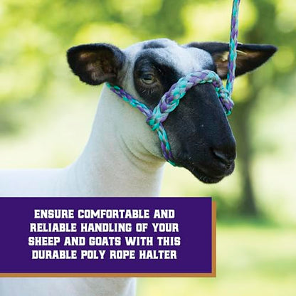 Weaver Livestock Braided Poly Rope Halter, 4 ft | Modern, Adjustable, Soft Braid, For Sheep & Goats - color: Gray/Lavender/Mint