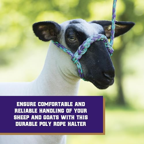 Weaver Livestock Braided Poly Rope Halter, 4 ft Modern, Adjustable, Soft Braid Sheep Halter, Livestock Equipment for Sheep, Goats - color: Mint/Black/Gray