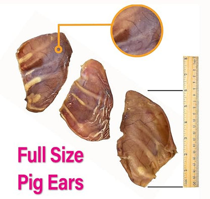 Scoochie Pet Brazilian Pig Ears - All-Natural, 75 Pack Pig Ears for Dogs - size: 75 Count