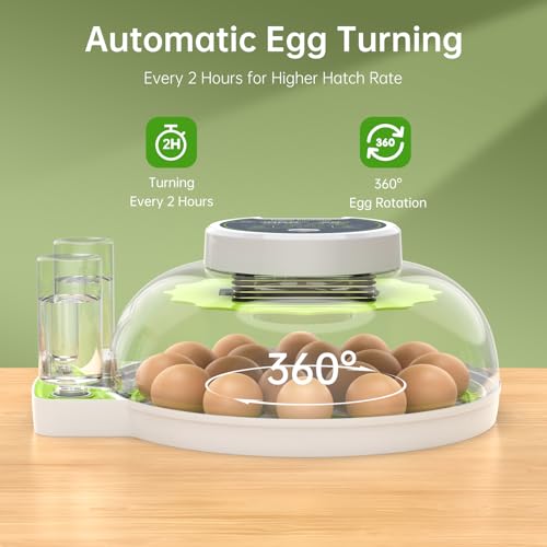 Egg Incubator with Automatic Egg Turning and Humidity Control, 18 Eggs Incubators for Hatching Eggs Chicken Quail Ducks Goose Parrot for Home Lab Farm Classroom - size: 18 Egg