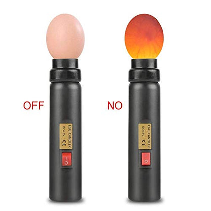LED Egg Hatching Test Light, High LED Chicken Egg Candler Mini Egg Tester Pen for Science Experiment