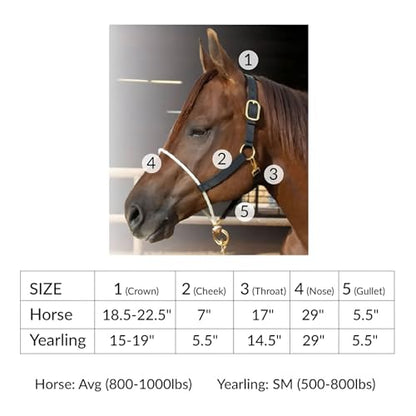 Professional's Choice Sports Medicine Products, INC. Nylon Halter Rope Nose - size: Small