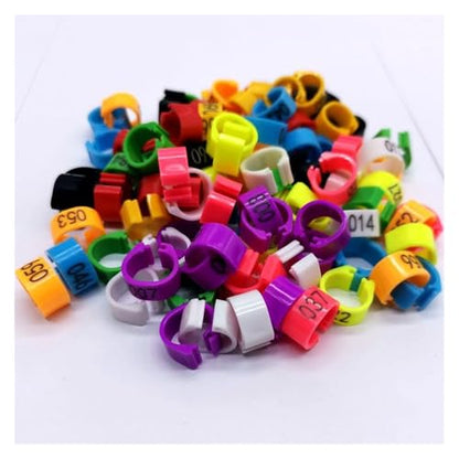 200 Pcs Birds Feet Clip Rings Inner Diameter 8mm Width 5mm 100Pcs Plastic Ring Pigeon Quail Foot Animal(G) - color: G