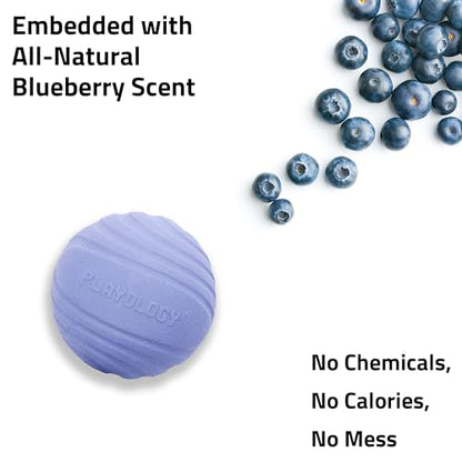 Playology Dog Toys | Dual Layer Ball Durable Chew Toy for Tough Chewers | Blueberry Scented Jumbo Dog Toy | Chew Toys for Large Dogs - size: Jumbo, style: Blueberry