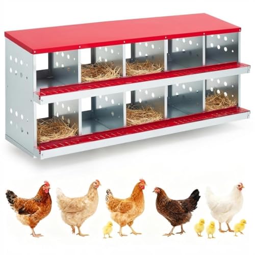 Metal Chicken Nesting Boxes - 10 Hole Wall-Mountable Laying Boxes with Flip-Top Lid & Roll-Away Egg Collection, Weatherproof Galvanized Steel, Includes 10 Fake Eggs for Chicken Coop, Red - color: Red, size: 10 compartment with Flip-top Egg collection box