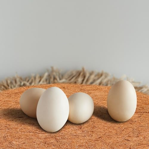 TOYANDONA 4 Pack Chicken Nesting Pads Coconut Fiber Egg Nesting Pads for Chicken Coop Laying Hen Nesting Pads for Egg Protection Rabbit Bird Dog and Cat Nesting Cushion 11.81 X 11.81 X 0.35 in