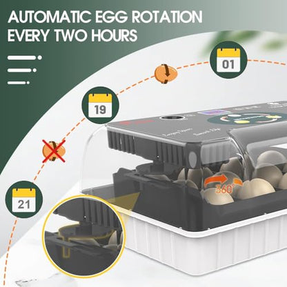 12 Egg Incubator - Automatic Egg Turner, Temperature Control, Built-in Candler, Auto Water Refill for Hatching Chicken, Duck, Quail & Bird Eggs - size: 12-EGGS-BLACK