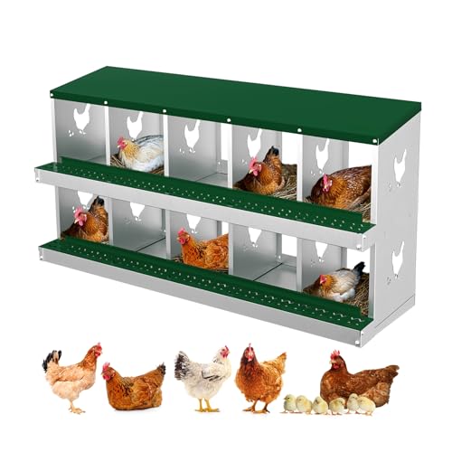 GarveeTech Nesting Boxes for Chickens, 6/8/10-Hole Galvanized Steel Chicken Nesting Boxes for Laying Eggs with Egg Rollaway System to Protect Eggs, Easy Egg Collection, for Chicken Coop Backyard Farm - color: green, size: 10 Compartments