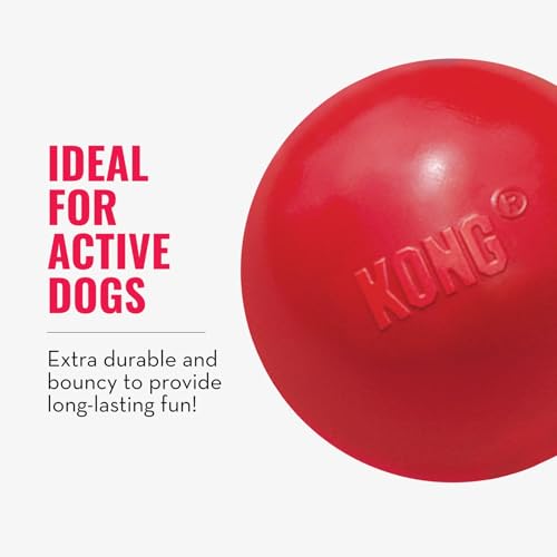 KONG Ball with Hole - Durable Dog Fetch Toy for Training, Interactive Playtime & More - Classic Natural Rubber Ball - Red - for Large/Medium Dogs (Pack of 2) - size: Medium/Large (Pack of 2)