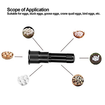 SUNGOOYUE Egg Candler Tester, Metal and Plastic LED Cool Light Egg Tester, Detachable Cone Spot Light, Battery Powered for Quail Duck Goose Chicken Eggs, Incubator Use (Black) - color: Black