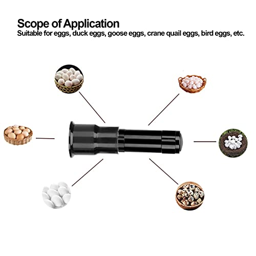 Egg Tester, LED Cool Light Candler Lamp, Metal and Plastic Material, Detachable Cone Spot Light, Suitable for Bird Duck Goose Quail Eggs, Delivered Without Battery (Black) - color: Black