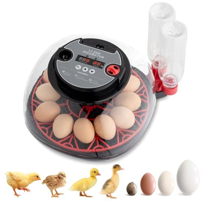 Winado Incubators for Hatching Eggs, 12 Egg Incubator with Auto Water Replenishment & Automatic Egg Turning & Temperature Control, Egg Candler, Duck, and Quail Eggs Hatching